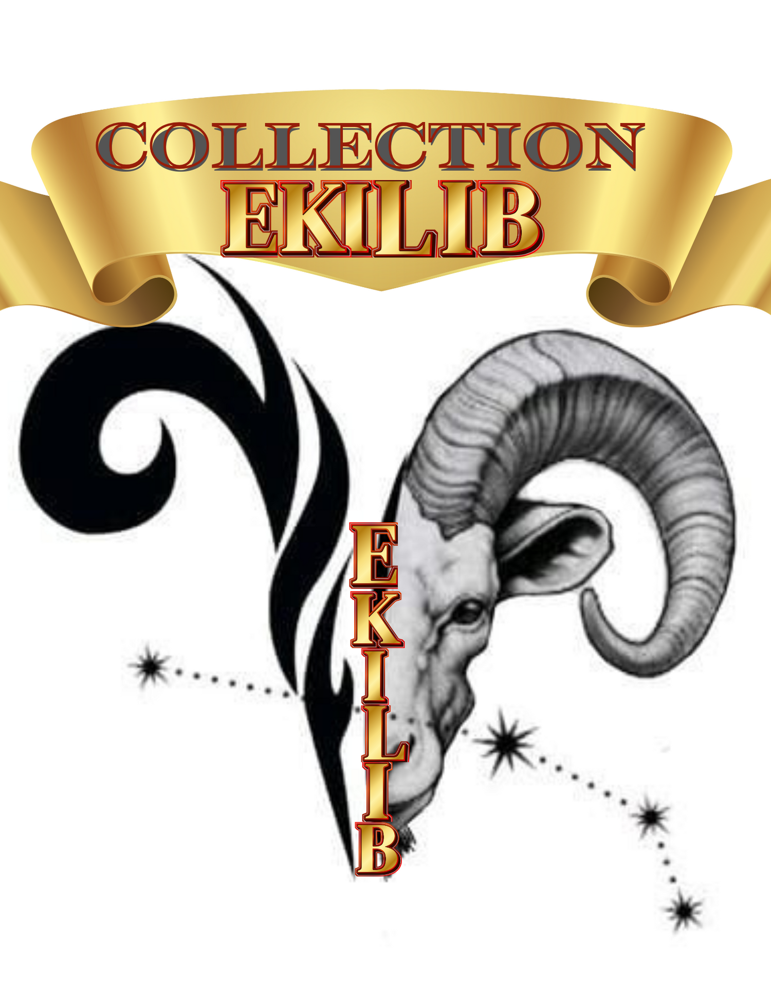 Collection ''EKILIB''